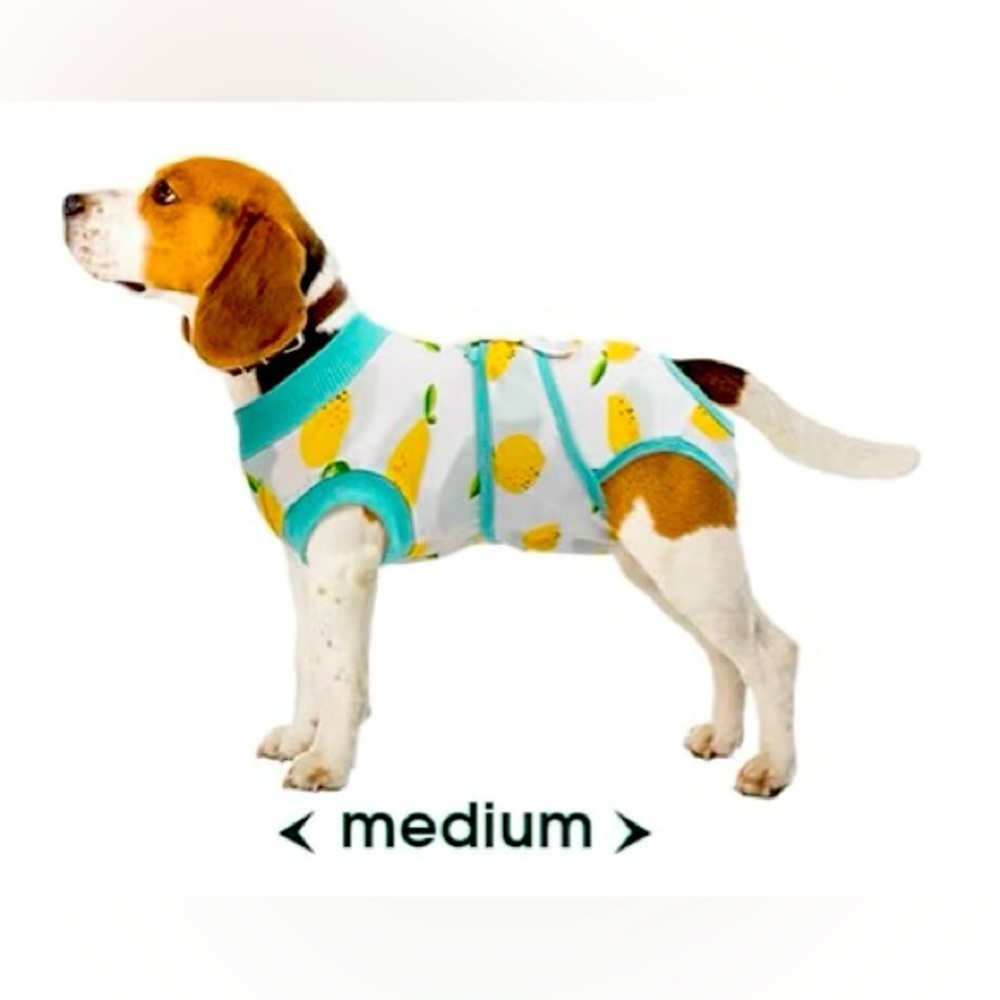 Dog Recovery suits- size Medium